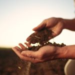Environment ministers push for more flexibility in first EU law monitoring soil