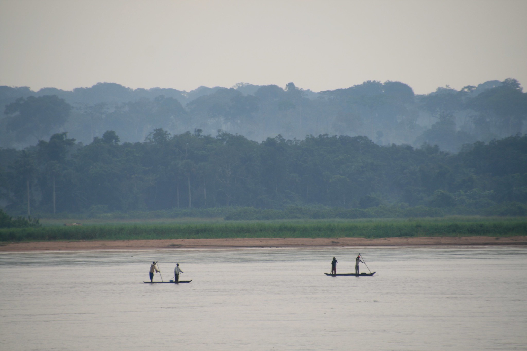 Pirogues on the Kasai River with forests on the far bank. Image by Terese Hart via Flickr.