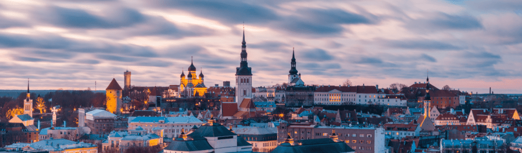 How You Can Lower Your Taxes by Setting Up a Company in Estonia 2024