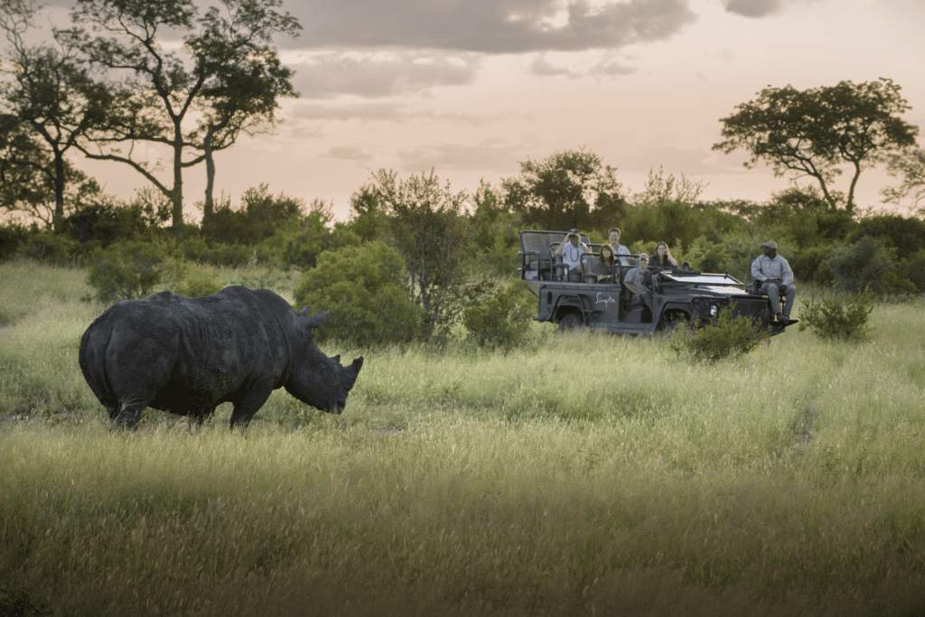 7 Trends Safari Operators in Africa Are Seeing For 2024
