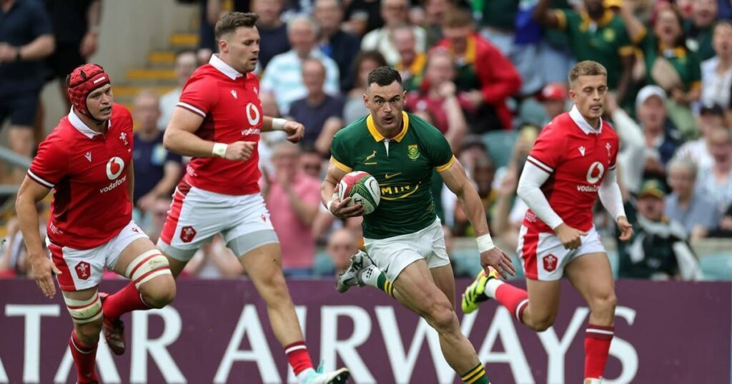 Referees must handle outside pressure from South Africa for Ireland Tests – The Irish Times