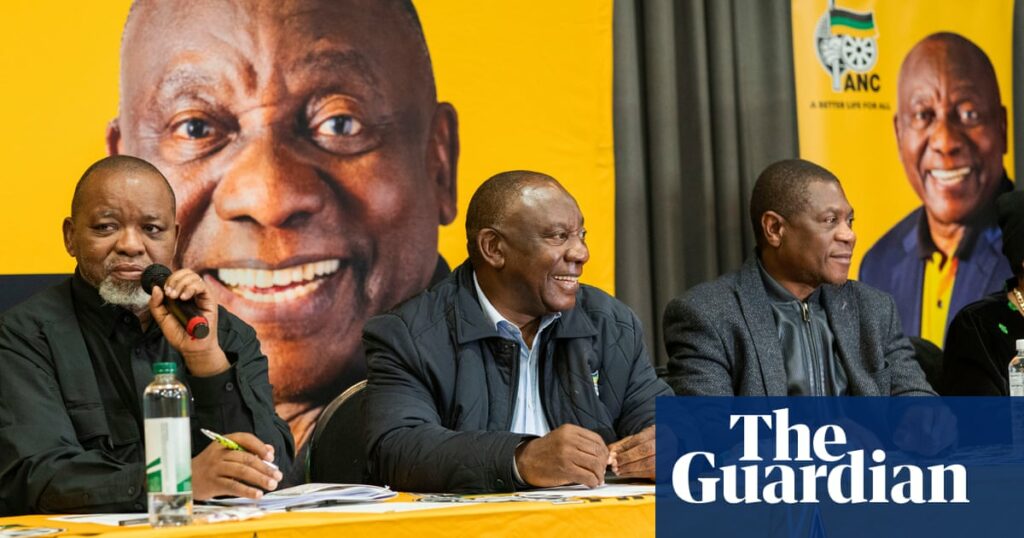 Free money? South Africa floats universal basic income for all | South Africa
