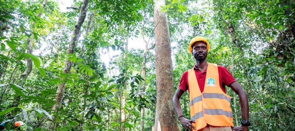 Gabon: Exploiting Forests without Destroying them | AFD