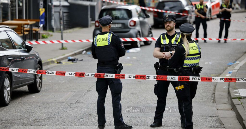 German police shoot man wielding pick hammer in Hamburg hours before Euro 2024 match, officials say
