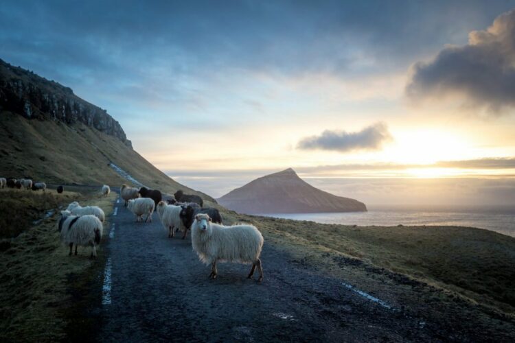 How the Faroe Islands Became an ‘Un-Destination’