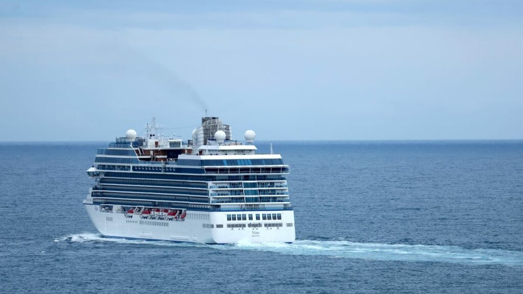 Oceania cruise ship rescues migrants from stalled boat, 6 dead
