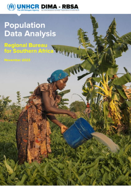 Population Data Analysis - Regional Bureau for Southern Africa, November 2023 - Democratic Republic of the Congo