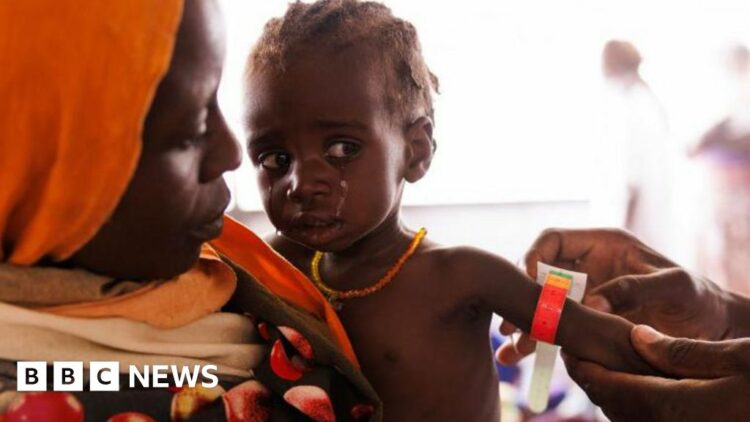 Sudan conflict: Millions face starvation as war rages