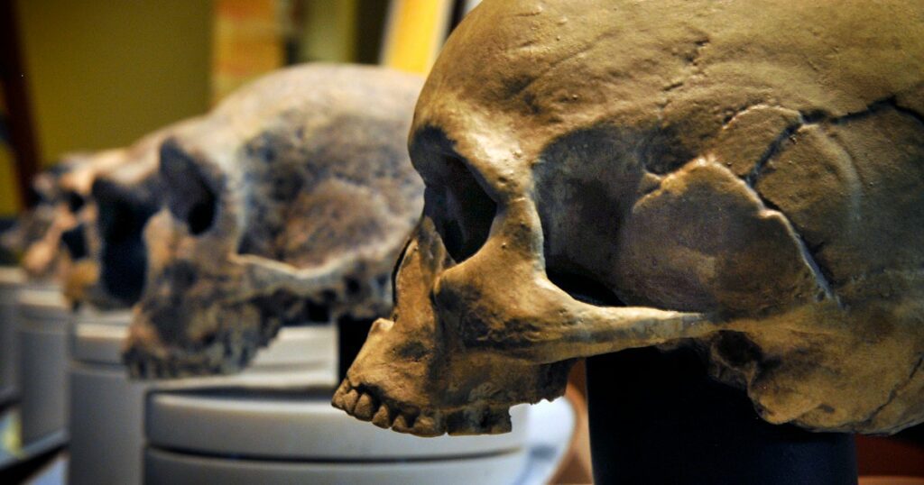 Two types of ancient humans found to benefit the health of living people