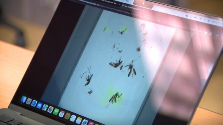 USF researchers use artificial intelligence to combat malaria in Africa - WSVN 7News | Miami News, Weather, Sports