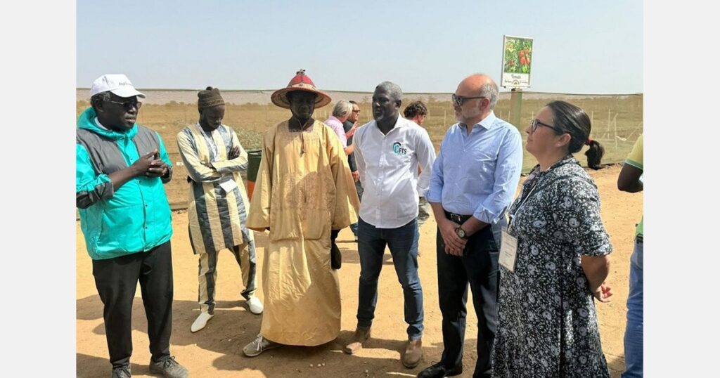 Italy-Senegal relations going strong in the fruit and vegetable sector
