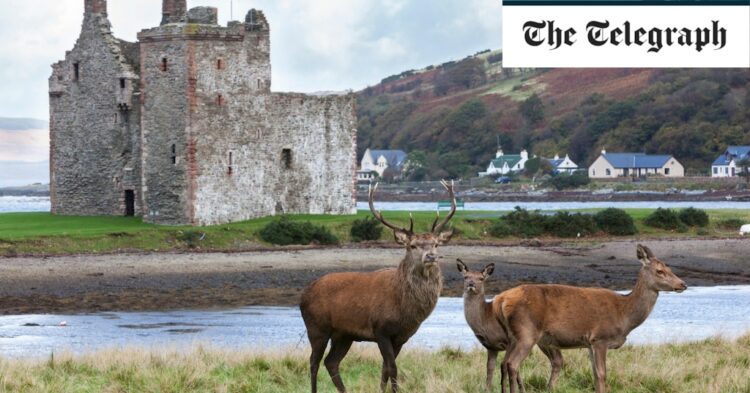 I've visited more than 100 countries – but nothing compares to this Scottish island