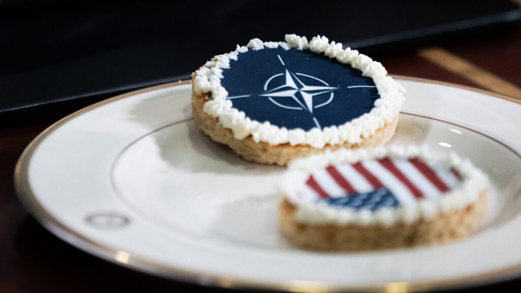 What Will Happen at NATO’s Washington Summit?