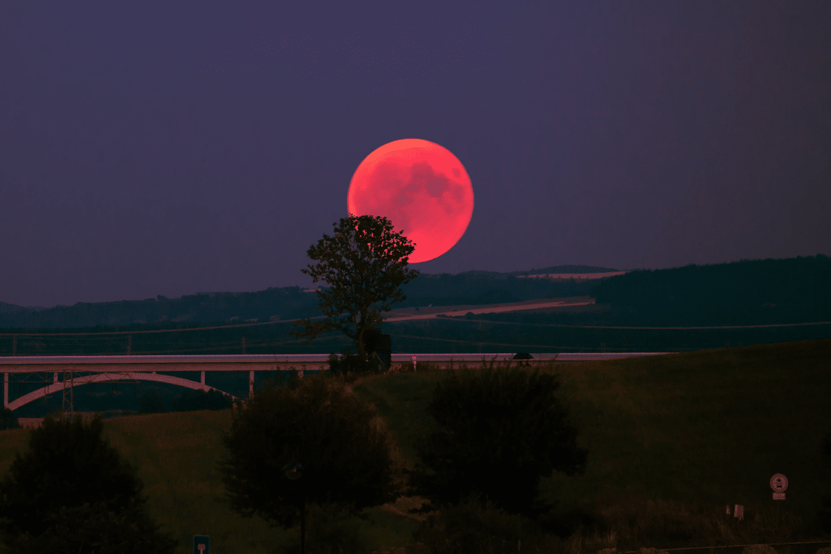 How to watch the blood moon 2021 australia 3