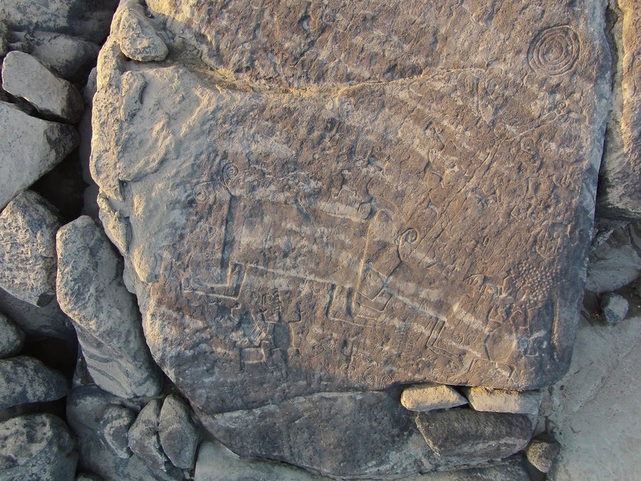 Photograph of rock carvings depicting several animals or creatures