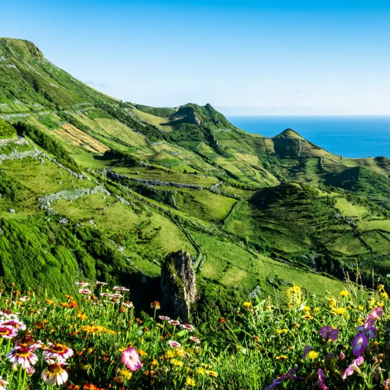Azores-Portugal-landscape-with-flowers-and-ocean-view