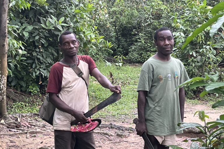 Two Indigenous Ba'aka trackers carrying machetes in a clearing. Image courtesy Jan Teede.