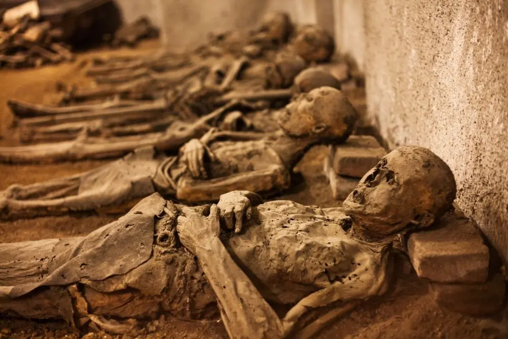 Mummies at Capuchin crypt — Shutterstock