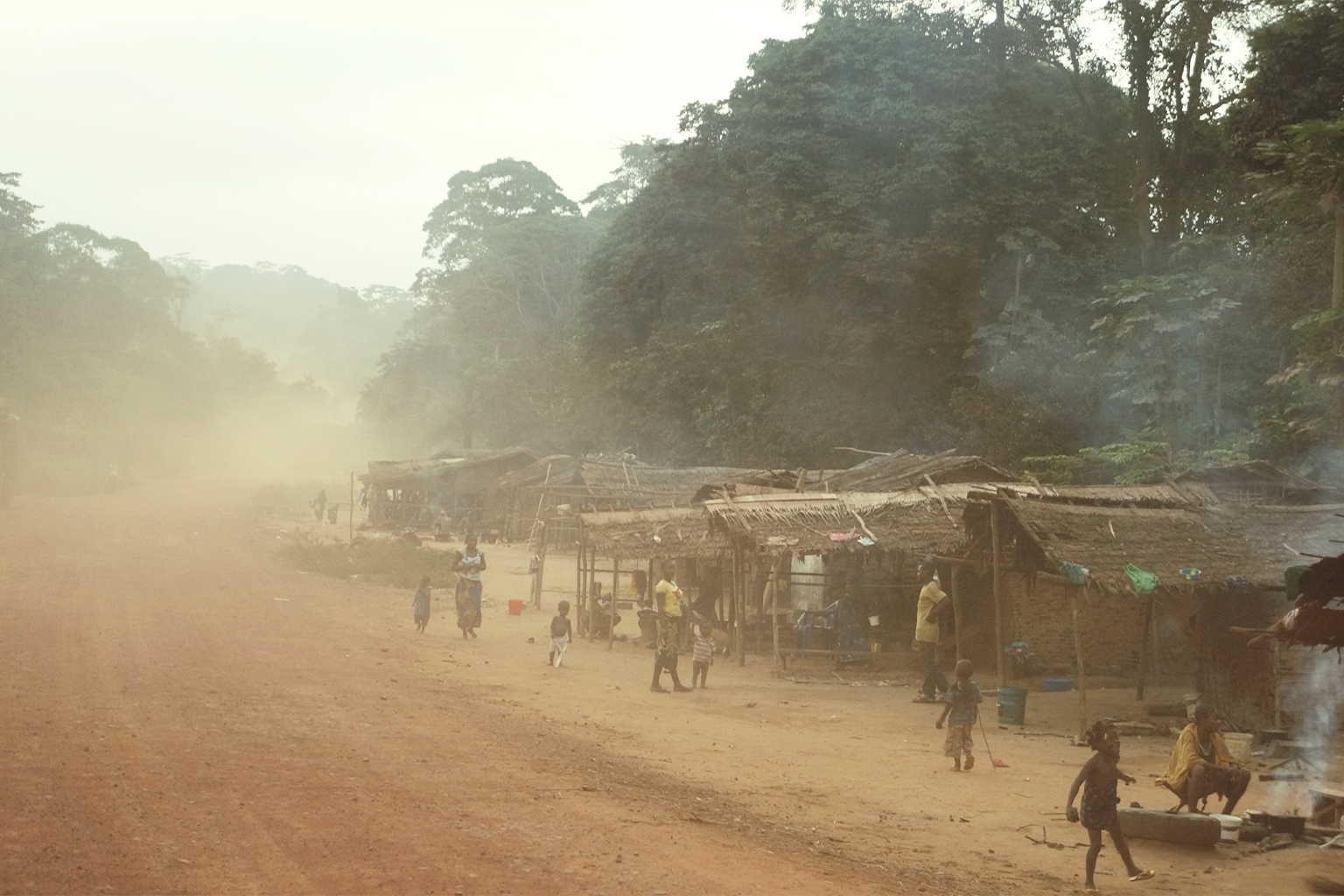 The Baka community of Makouagonda, whose ancestral land was taken for Odzala-Kokoua National Park. They now live by the side of the road. 