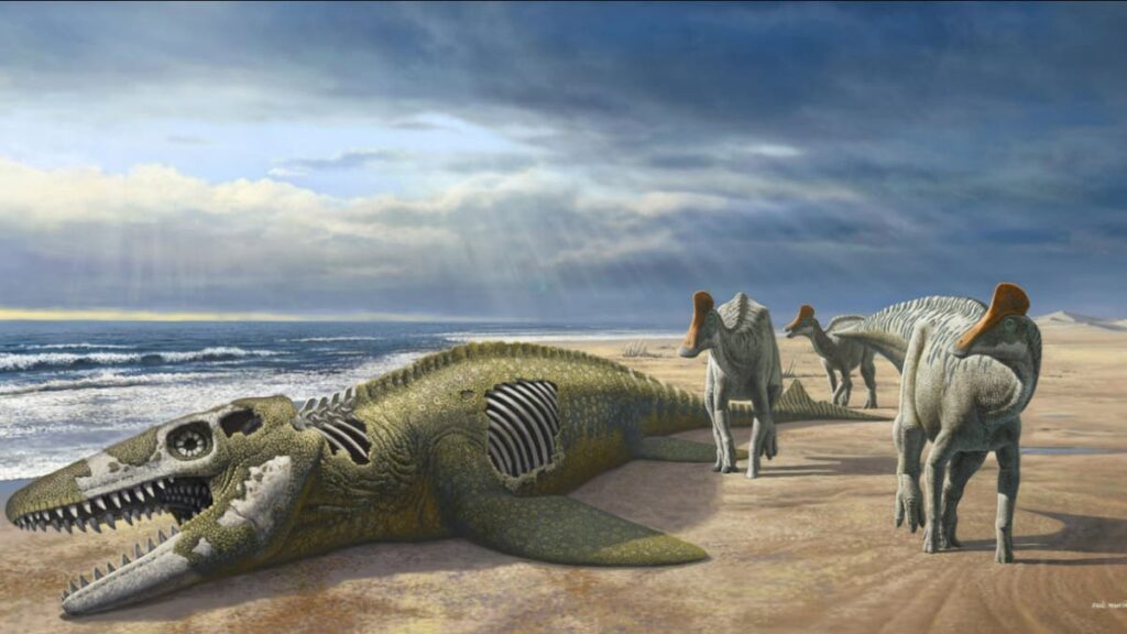 Duck-billed dinosaur from 100 million years ago ‘swam from Eurasia to Africa’