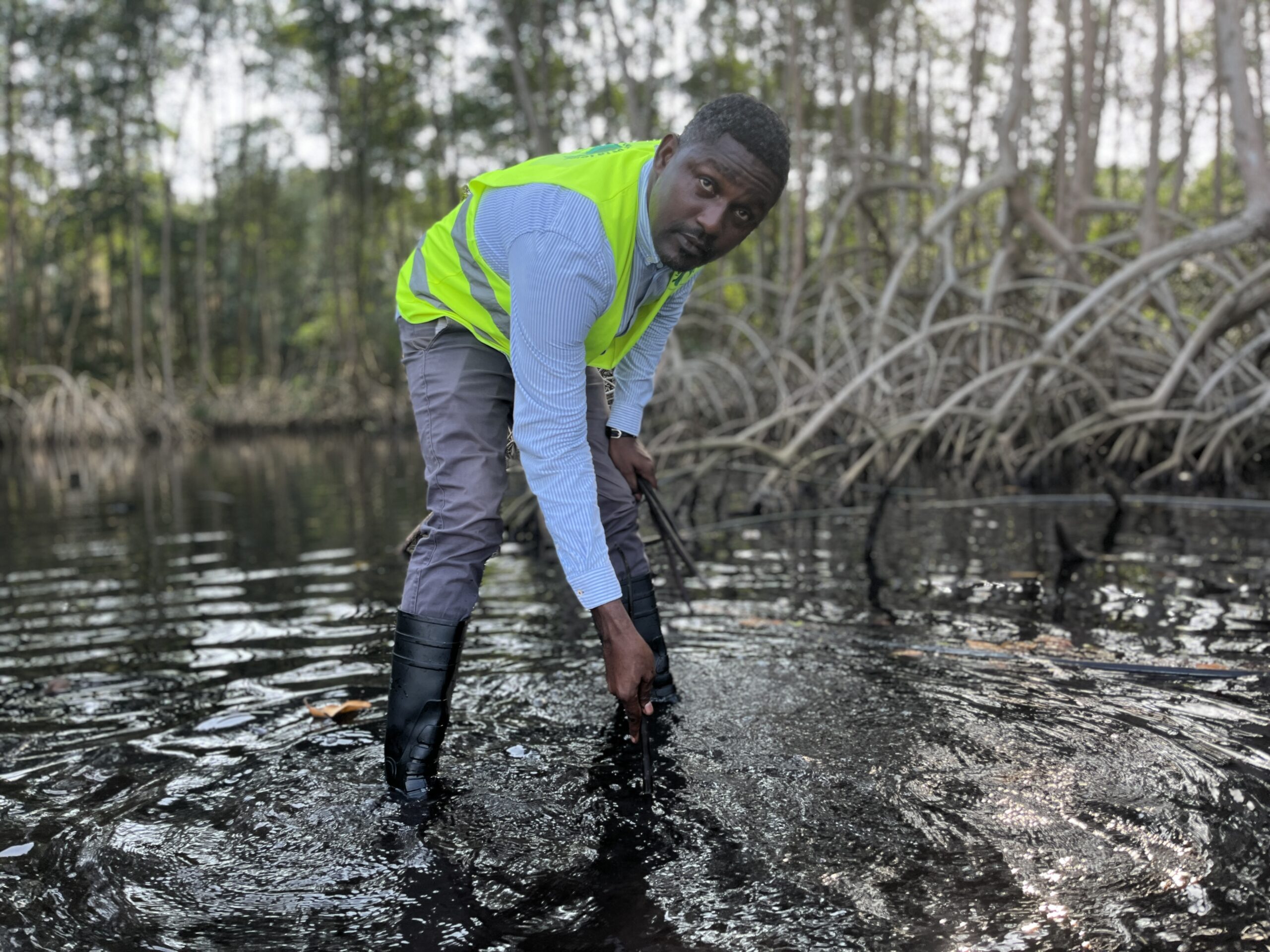Gabon, Libreville, Guilann Ibinga, director of the NGO Friends of Lowé, replanting mangroves. Image by Elodie Toto / Mongabay, 3 march 2023