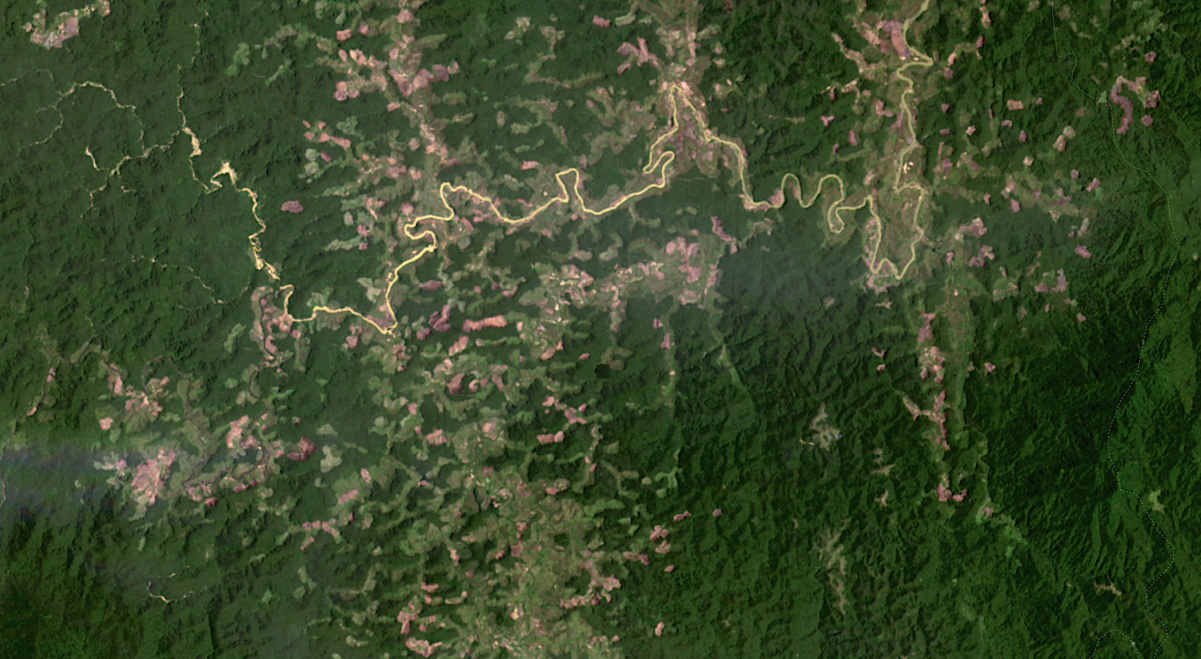 Satellite imagery captured in December 2020 shows many new clearings cutting into rainforest in CAZ. Image from Planet Labs.