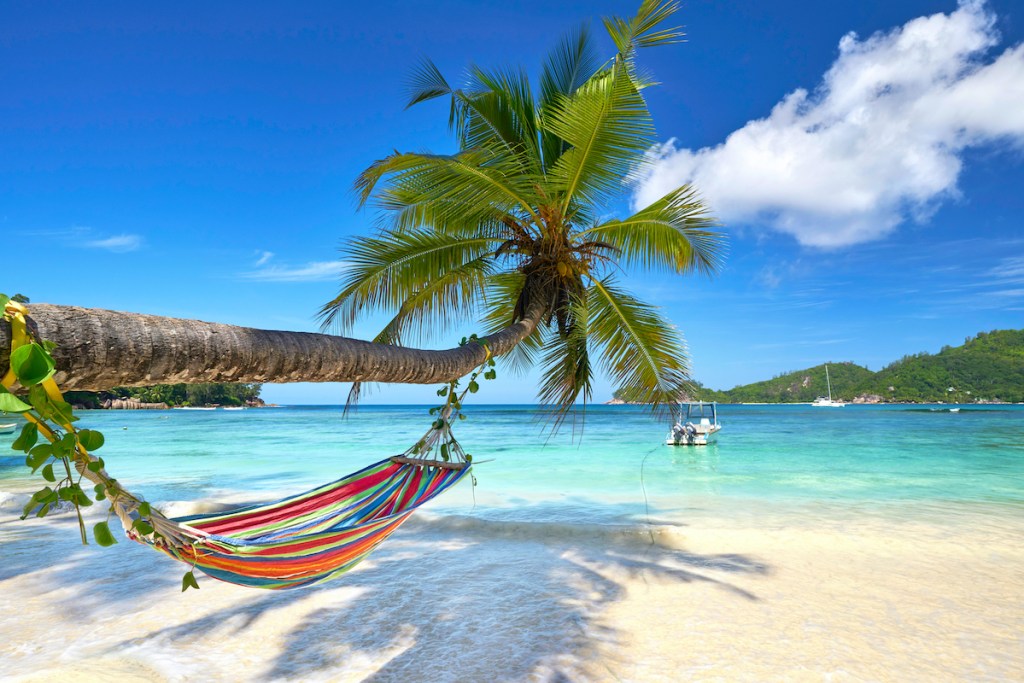 A hammock in the Seychelles.