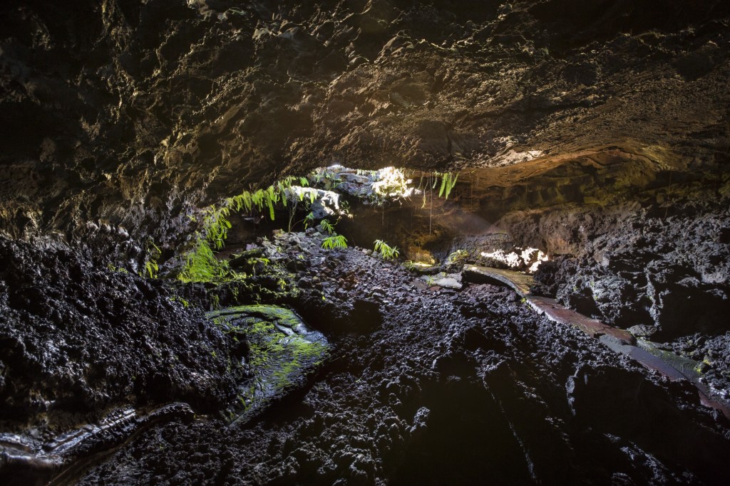 Inside a lava tunnel on Reunion Island.