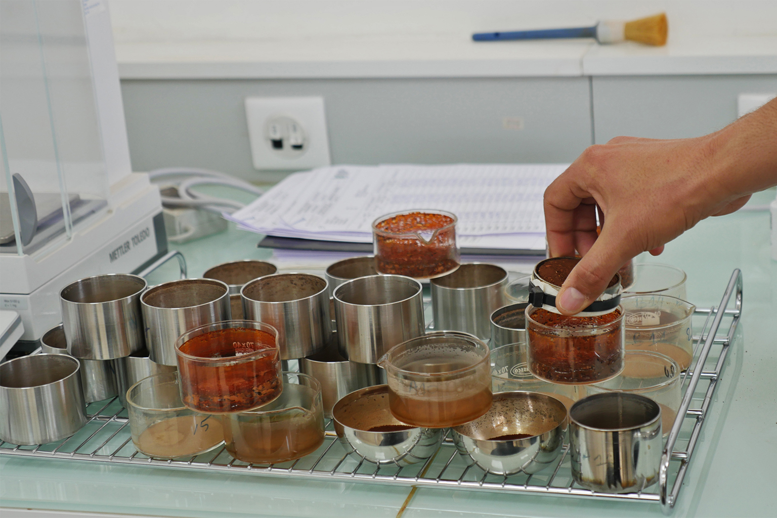 These soil samples are tested for their water content and how dense, or compact, the soil is.