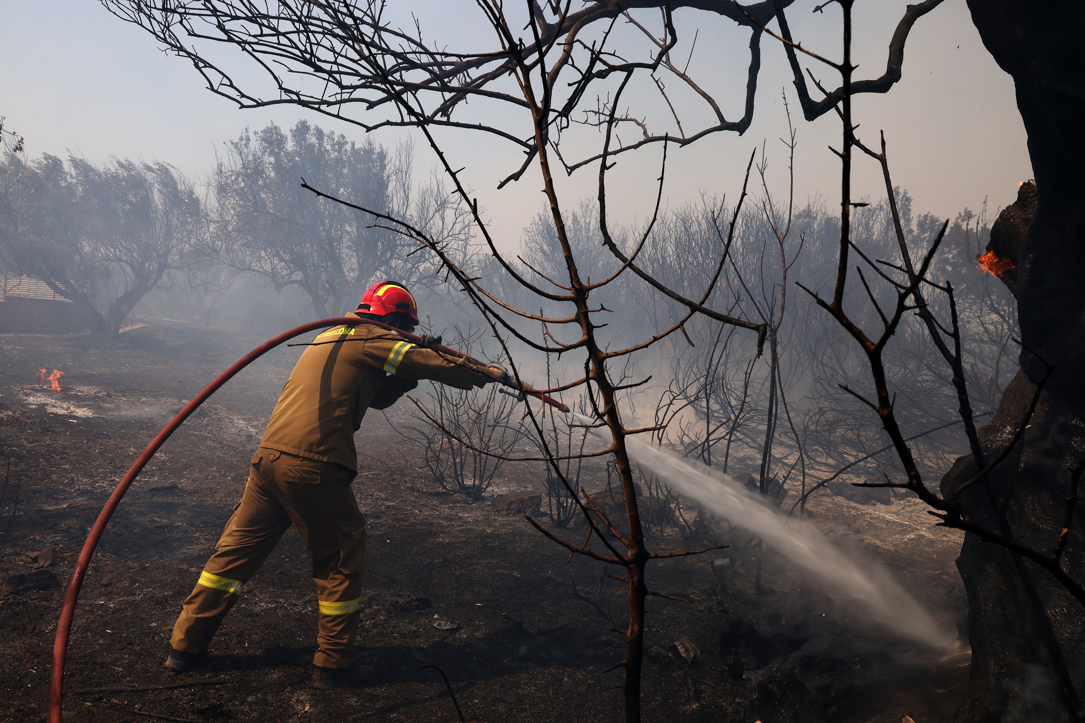 Firefighters extinguish a wildfire, in Kitsi, near the town of Koropi, Greece, on June 19