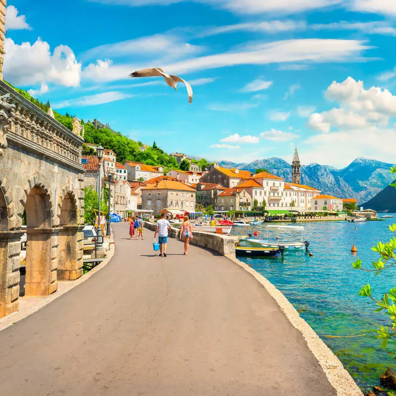 A Seagull Hovering Above The Small Dalmatian Town Of Perast, On The Bay Of Kotor, Montenegro, A Balkan Country In Southeastern Europe
