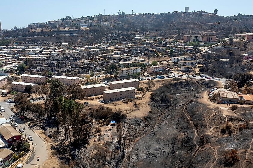 Viña del Mar, Valparaiso, V Region, CHILE. A mega fire consumes several cities in the region. Editorial credit: Castro and Schnaidt / Shutterstock.com