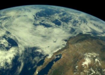 Tanzania bans opposition youth day gathering | World News