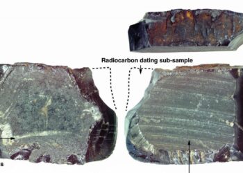 This Tiny Piece Of Resin Just Rewrote The History Of The Pacific Islands
