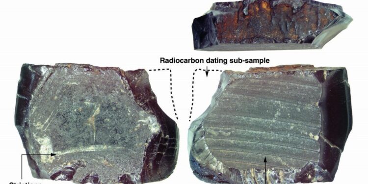This Tiny Piece Of Resin Just Rewrote The History Of The Pacific Islands