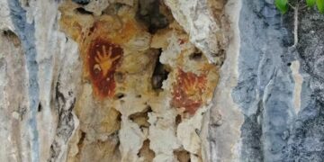 Humans were living near West Papua at least 55,000 years ago, study finds