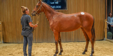 Yearling sets European record at Arqana-Trot Sale