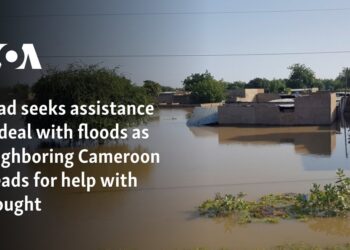 Chad seeks assistance to deal with floods as neighboring Cameroon pleads for help with drought