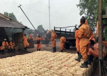 DRC communities turn up heat on EU lenders funding palm oil giant PHC