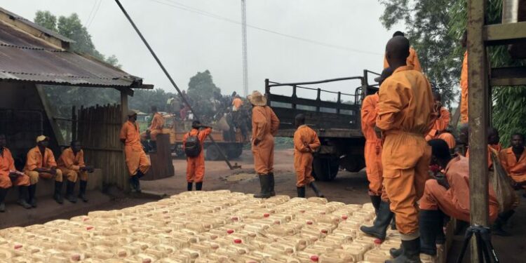 DRC communities turn up heat on EU lenders funding palm oil giant PHC