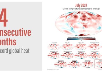 July 2024 was Earth’s hottest month on record » Yale Climate Connections