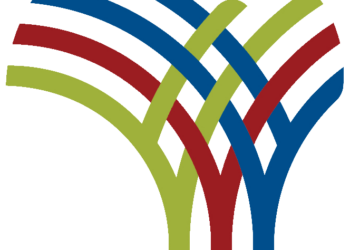 Southern Africa: Zimbabwe Bags Baseball Silver