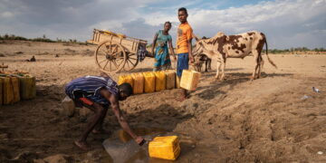 The poisonous global politics of water