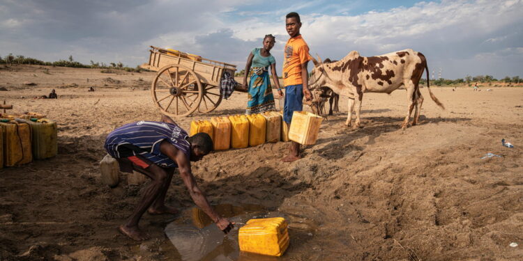 The poisonous global politics of water