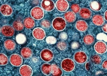 WHO backs African efforts to combat mpox spread, as Sweden records new case