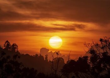 Uganda Signs Historic Oil Refinery Deal with UAE – softpower.ug