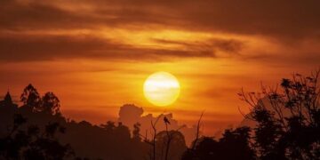 Uganda Signs Historic Oil Refinery Deal with UAE – softpower.ug