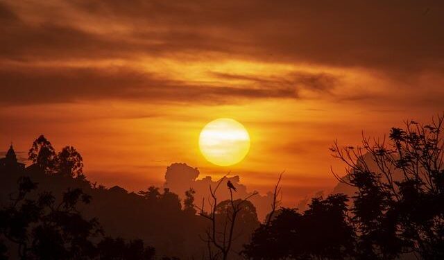 Uganda Signs Historic Oil Refinery Deal with UAE – softpower.ug