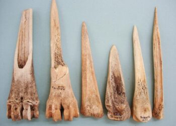1.5 million-year-old bone tools crafted by human ancestors in Tanzania are oldest of their kind – Livescience.com