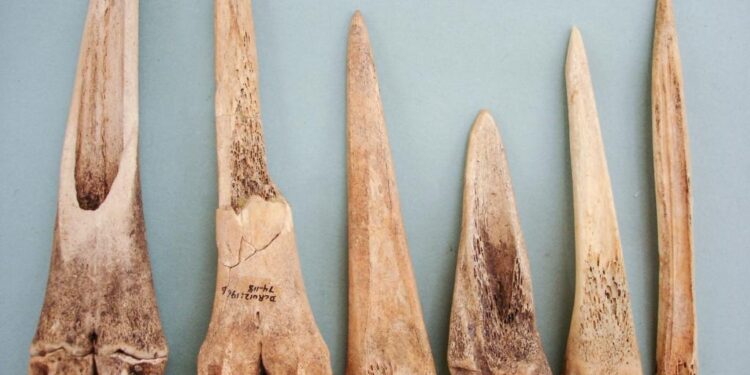 1.5 million-year-old bone tools crafted by human ancestors in Tanzania are oldest of their kind – Livescience.com